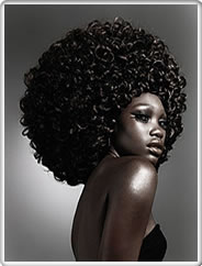 Black Elegant Afro
